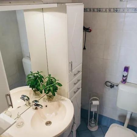 House365 Koper